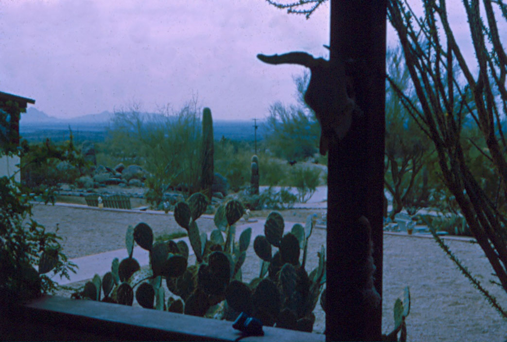 From The Porch Looking Towards Mesa