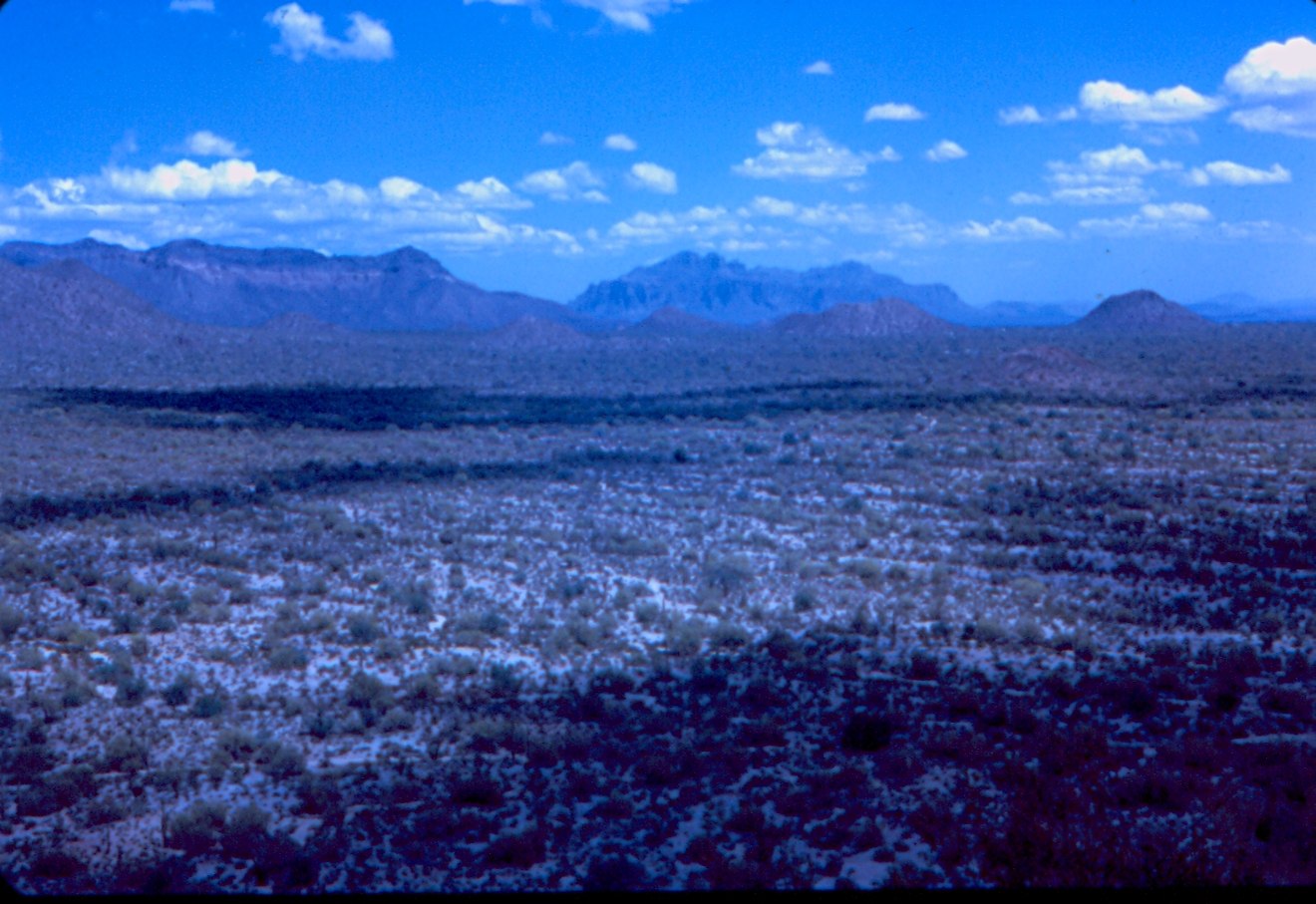 View to the esast/SE towards Superstition Mountain.